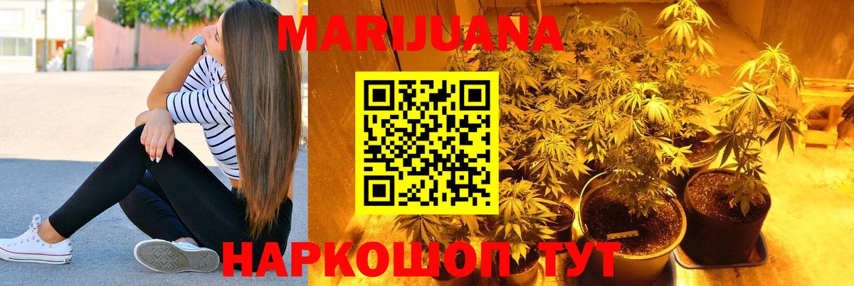Конопля планчик Электрогорск